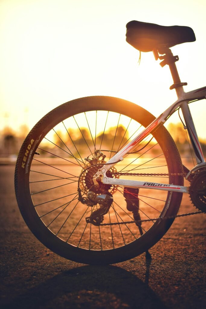 Tipos de Bicicletas 4 Bicicletas de Montaña: Aventura y Resistencia en Terrenos Irregulares.