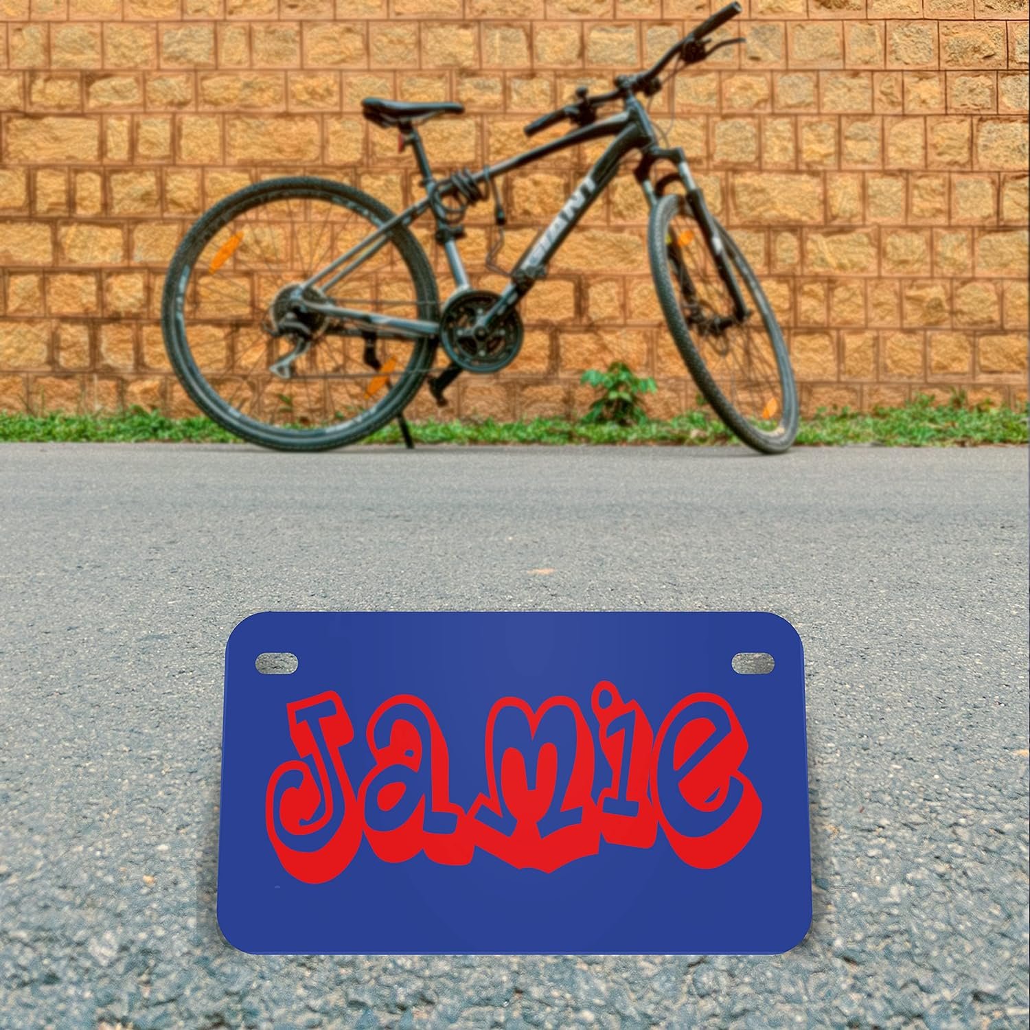 Perzonalizacion: Placa matricula de bicicleta